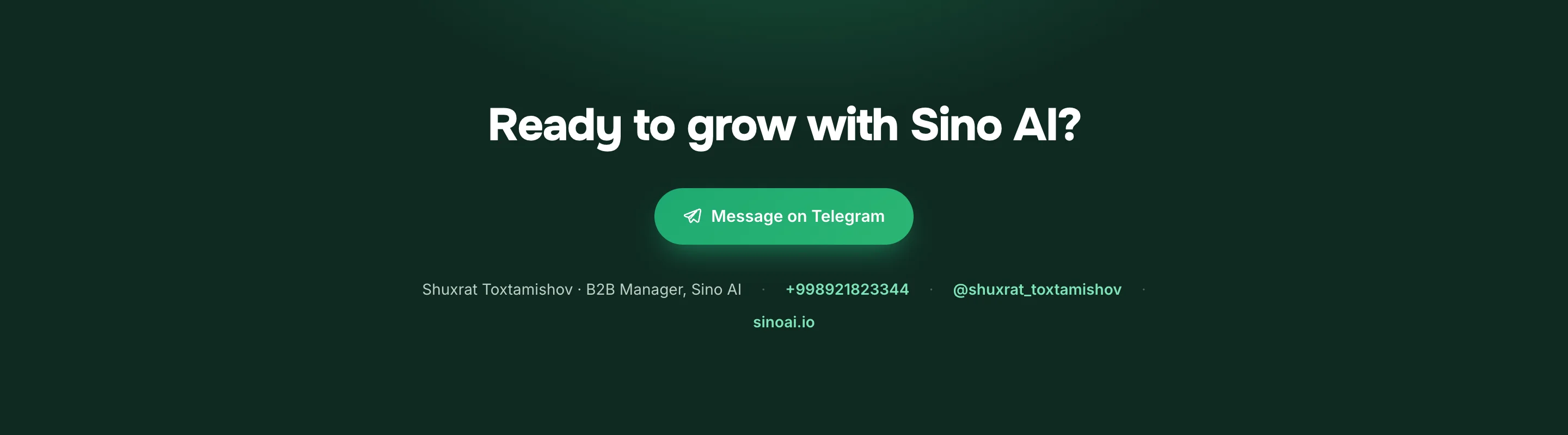 Commercial proposals for Sino AI — 6