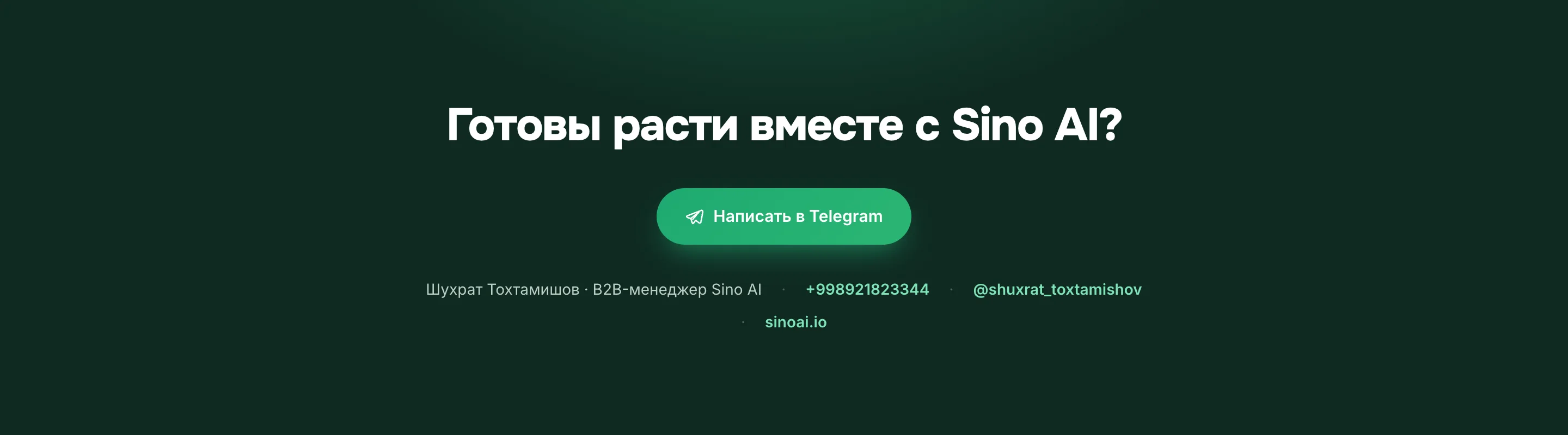 Коммерческие предложения для Sino AI — 6