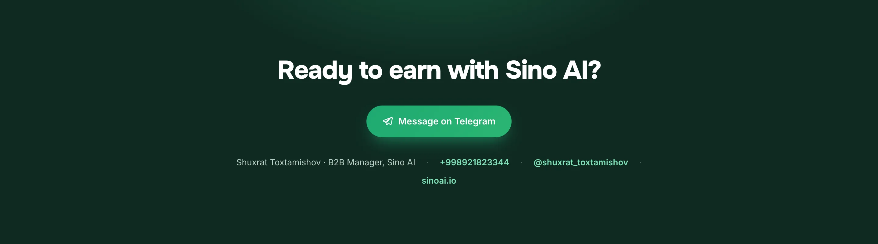 Commercial proposals for Sino AI — 12
