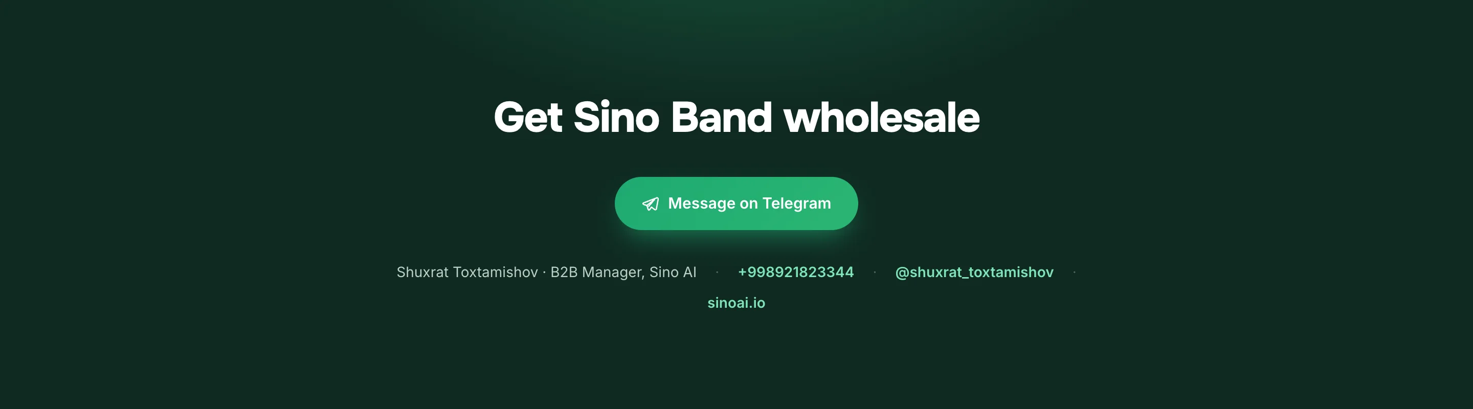Commercial proposals for Sino AI — 18